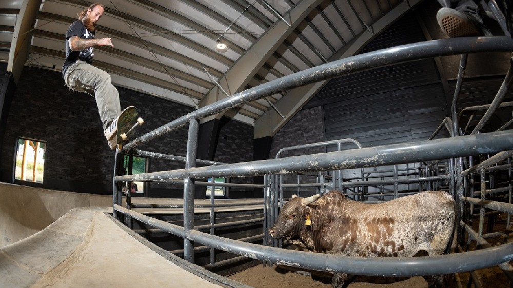 maxresdefault (21).jpg