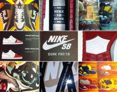 Nike SB Dunk Pro 1985-2011 Book ȫع