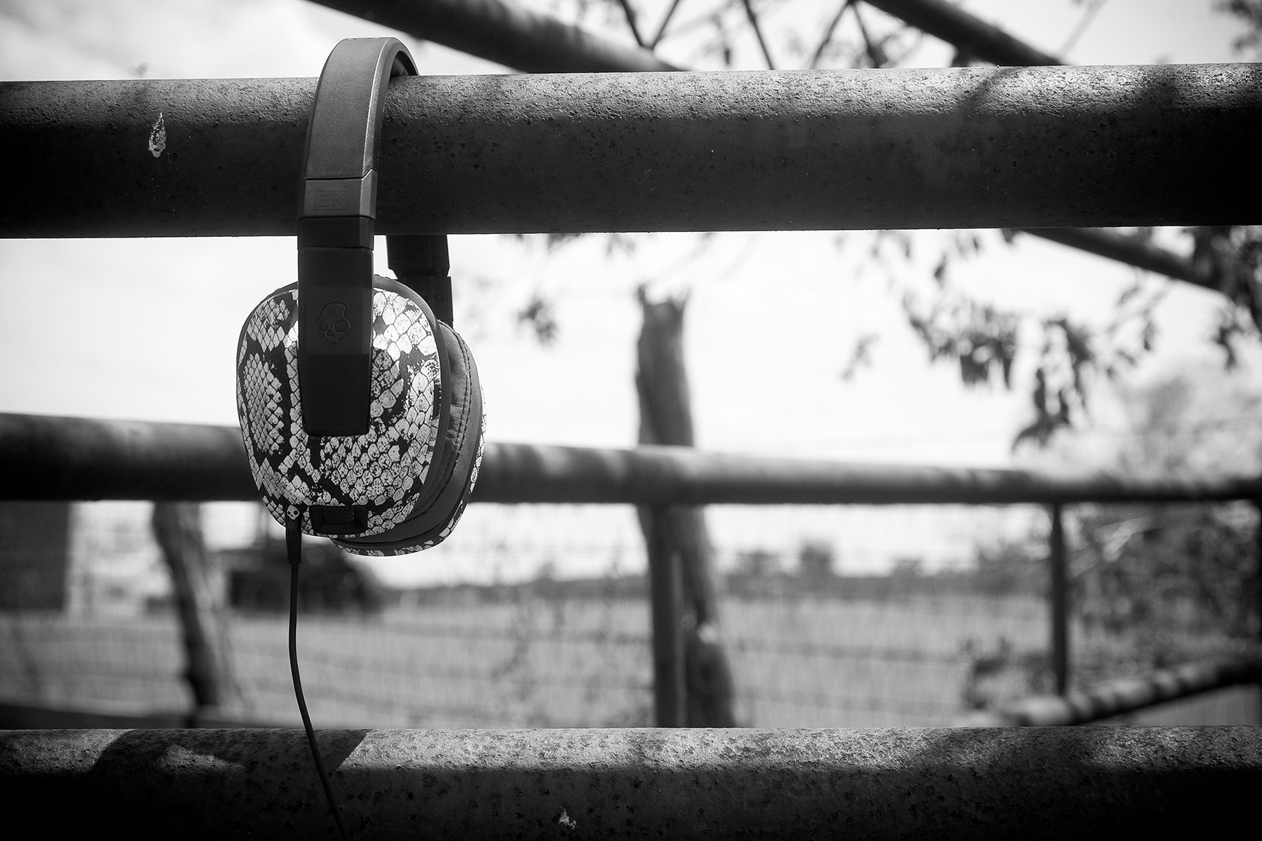 Image of Eric Koston x Skullcandy 簽名式耳機系列